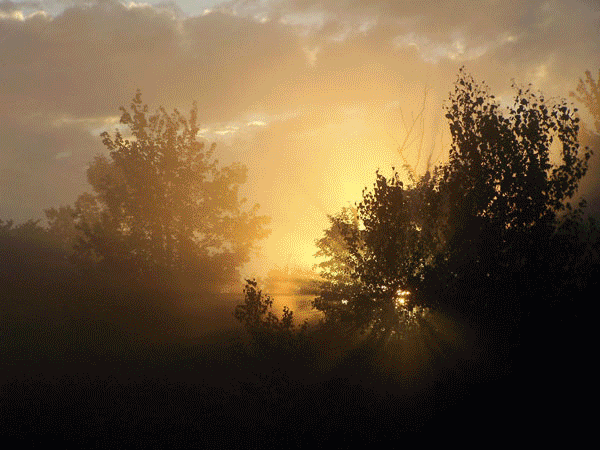Scenic Photos