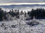 field with ice storm ice