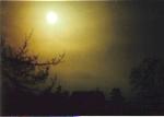 golden sunset
